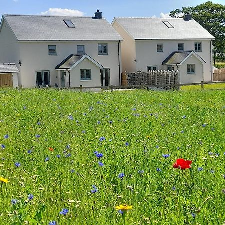 Brecon Beacons Cottage With Stunning Country Views Myddfai Extérieur photo