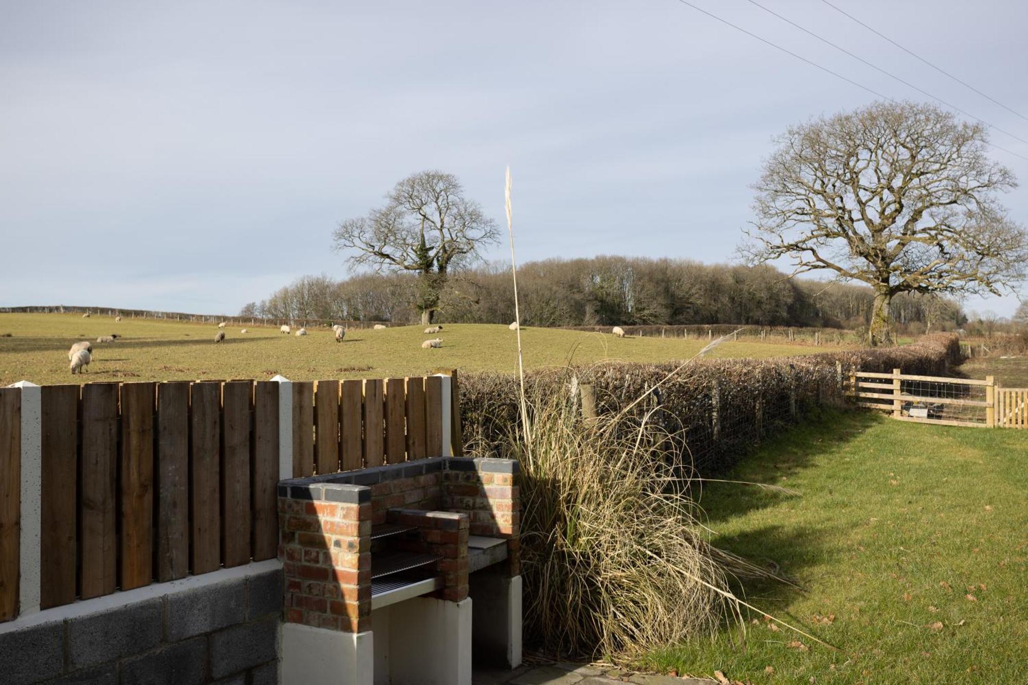 Brecon Beacons Cottage With Stunning Country Views Myddfai Extérieur photo