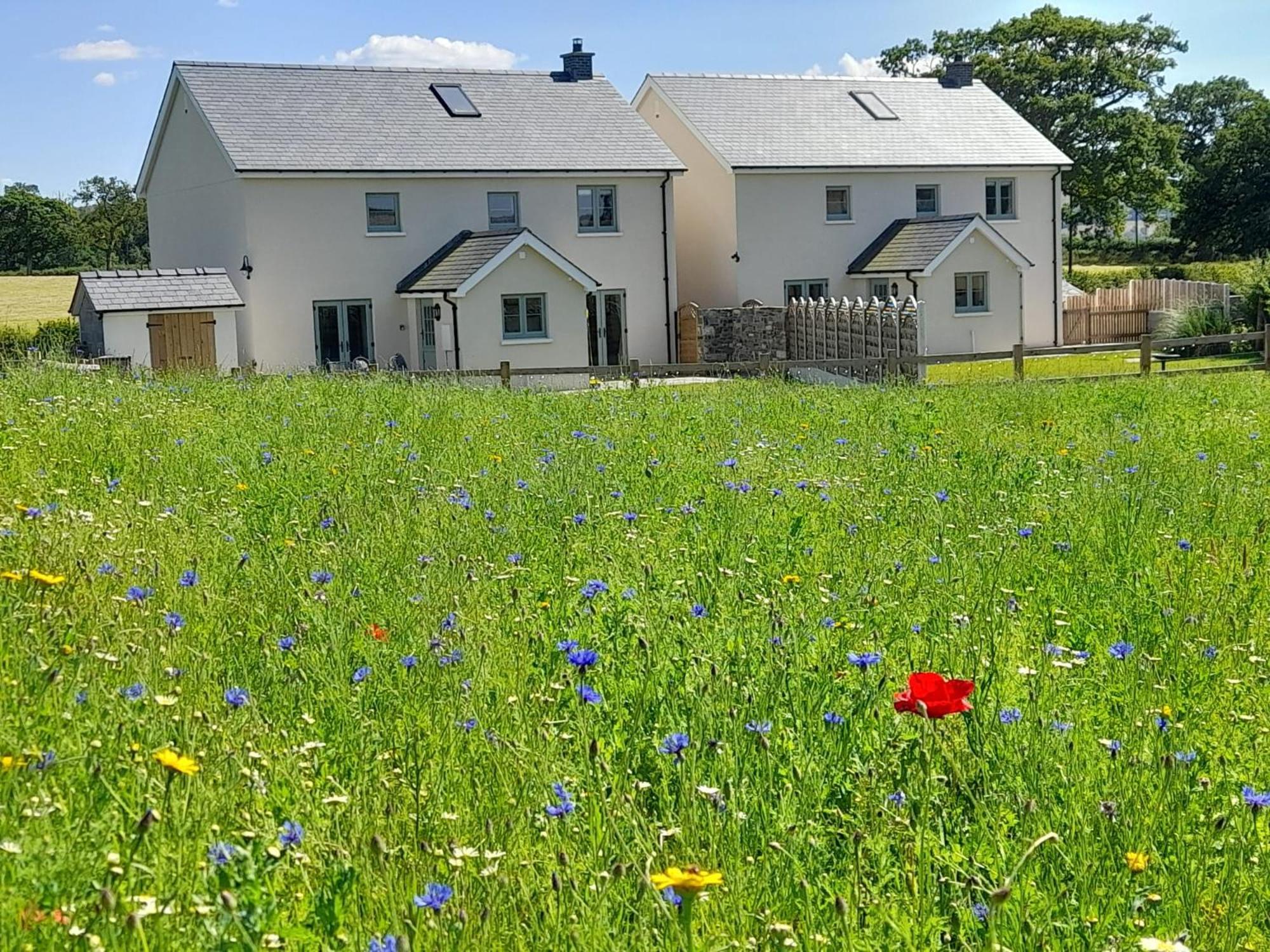 Brecon Beacons Cottage With Stunning Country Views Myddfai Extérieur photo
